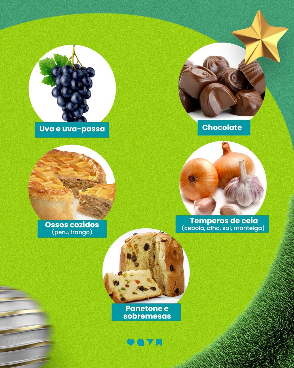 Seu pet fez aquele olhar irresistível pedindo comida da mesa?