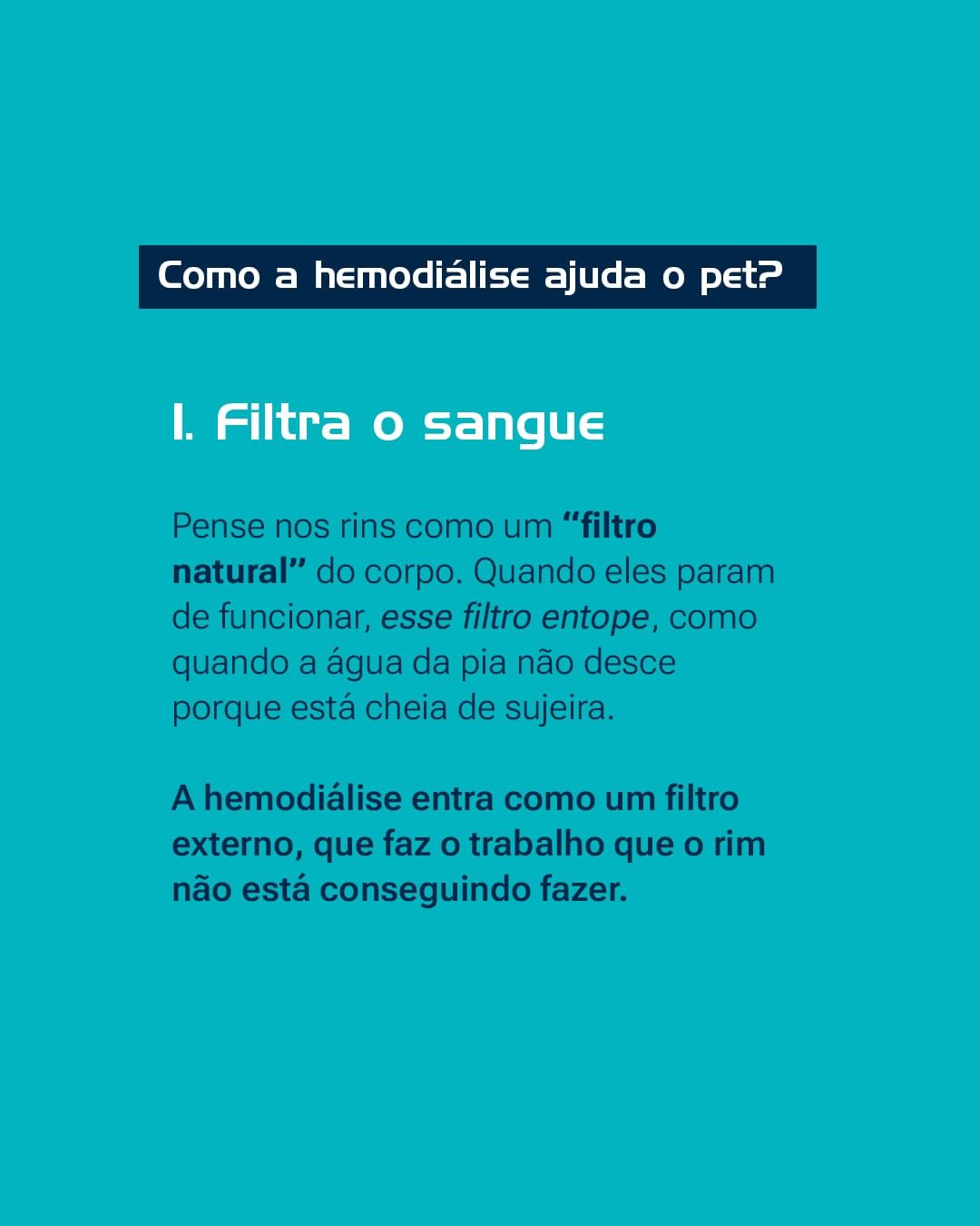 Se o seu pet apresenta alterações renais ou passou por uma intoxicação, converse com nossa equipe !