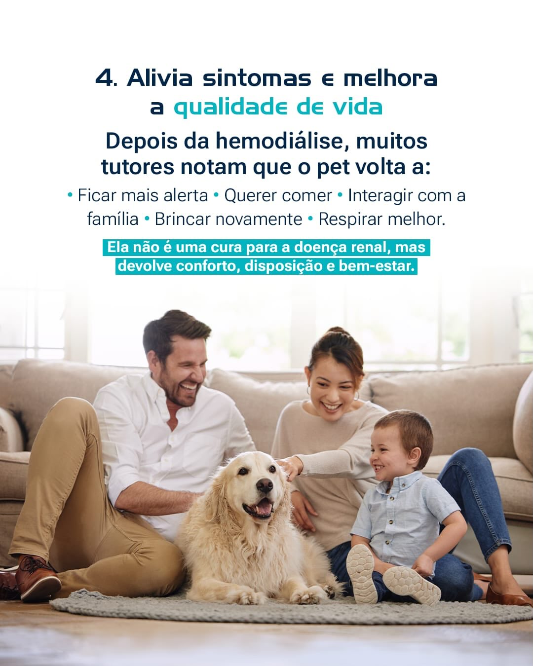 Se o seu pet apresenta alterações renais ou passou por uma intoxicação, converse com nossa equipe !