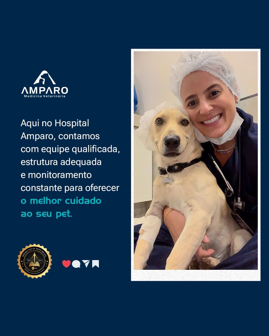 Se o seu pet apresenta alterações renais ou passou por uma intoxicação, converse com nossa equipe !