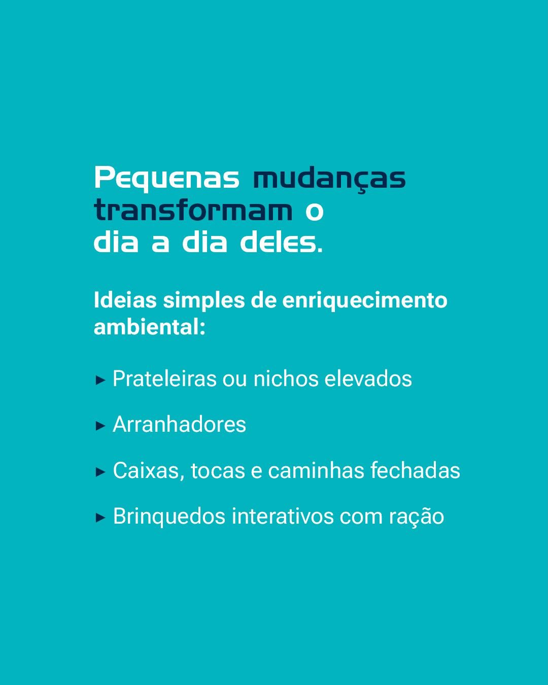 Em caso de dúvidas sobre comportamento ou bem-estar do seu gato, conte com a nossa equipe.