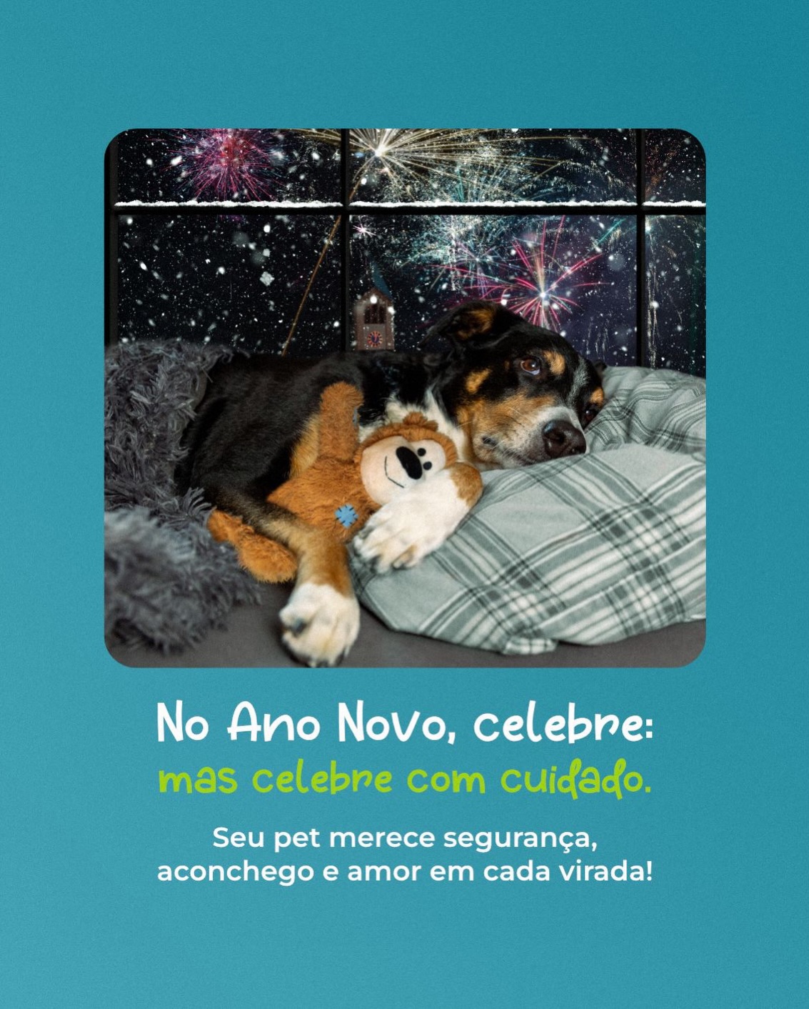 Seu pet costuma ficar muito agitado com fogos?