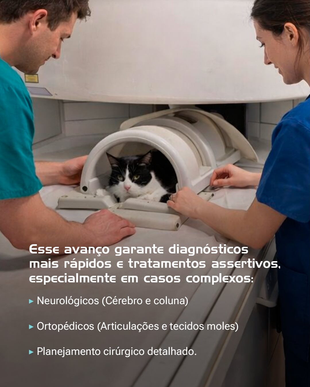 Seu pet precisa de  Ressonância Magnética?