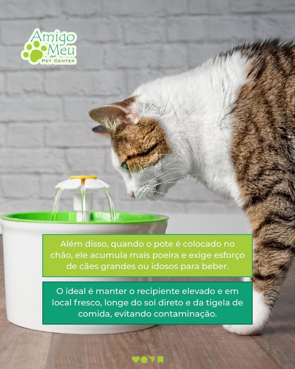 No verão, água fresca é uma necessidade básica para a saúde do seu pet!