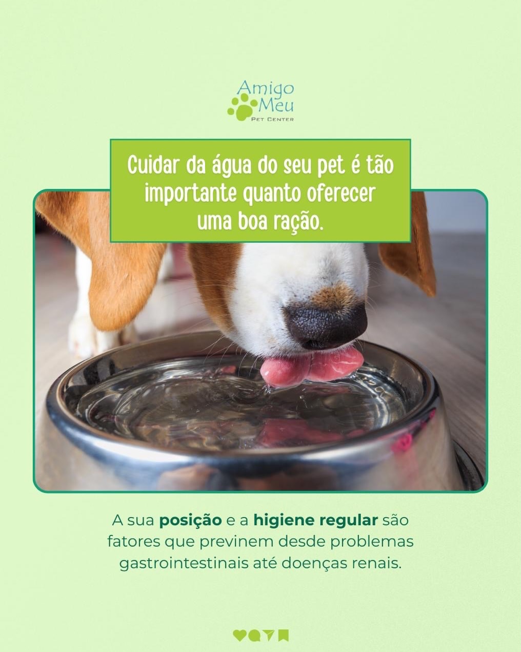 No verão, água fresca é uma necessidade básica para a saúde do seu pet!