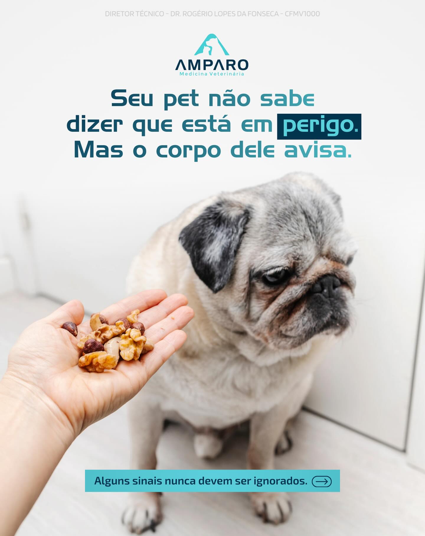 No Hospital Amparo, estamos prontos para traduzir o que o seu melhor amigo não consegue dizer.