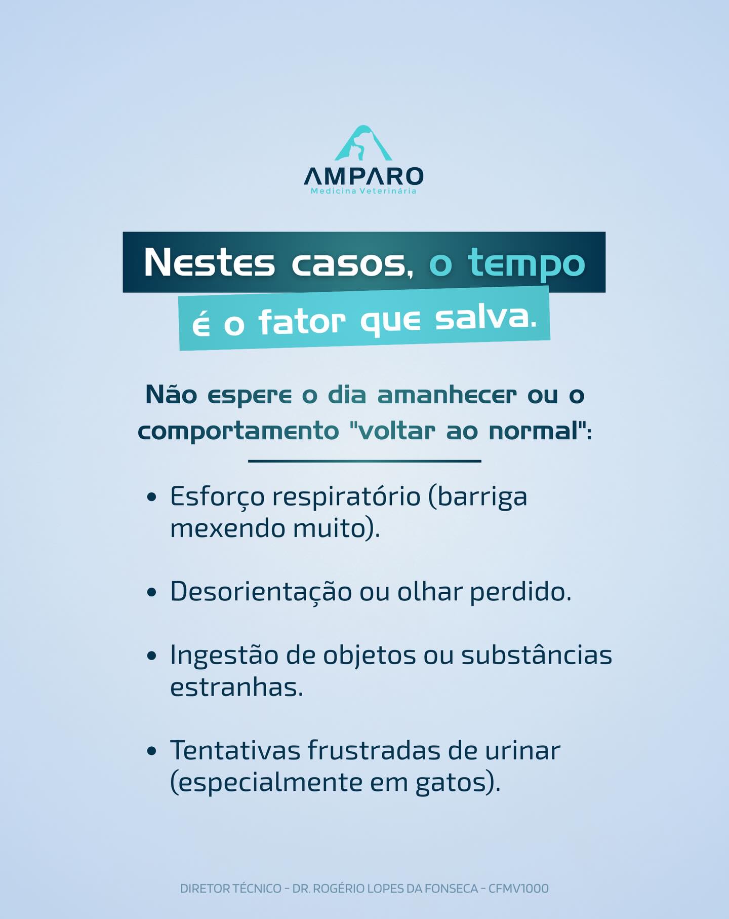 No Hospital Amparo, estamos prontos para traduzir o que o seu melhor amigo não consegue dizer.