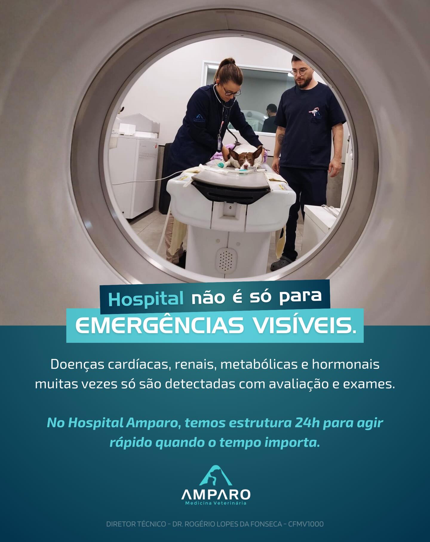 No Hospital Amparo, estamos prontos para traduzir o que o seu melhor amigo não consegue dizer.