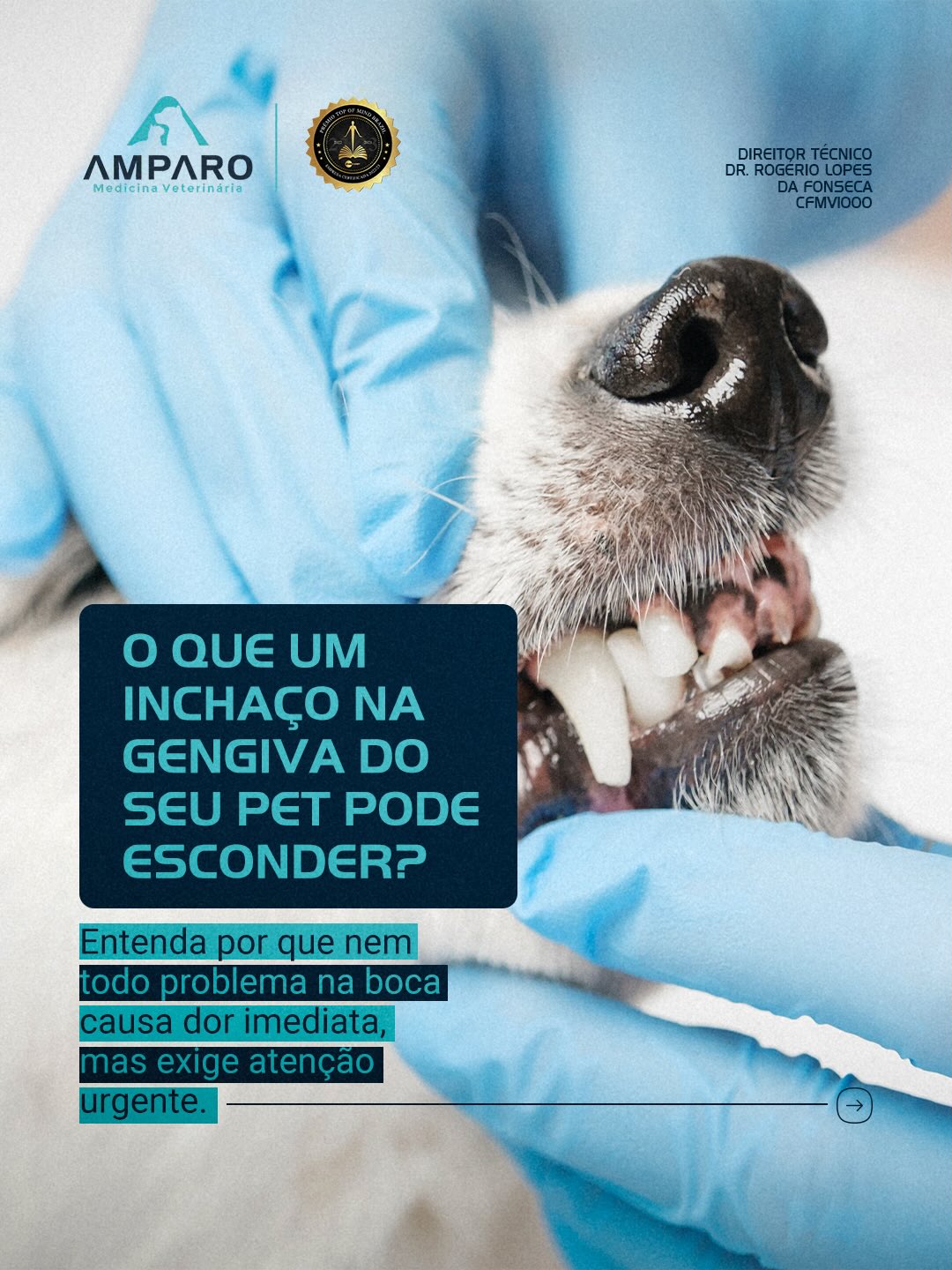 O que um inchaço na gengiva do seu pet pode esconder?