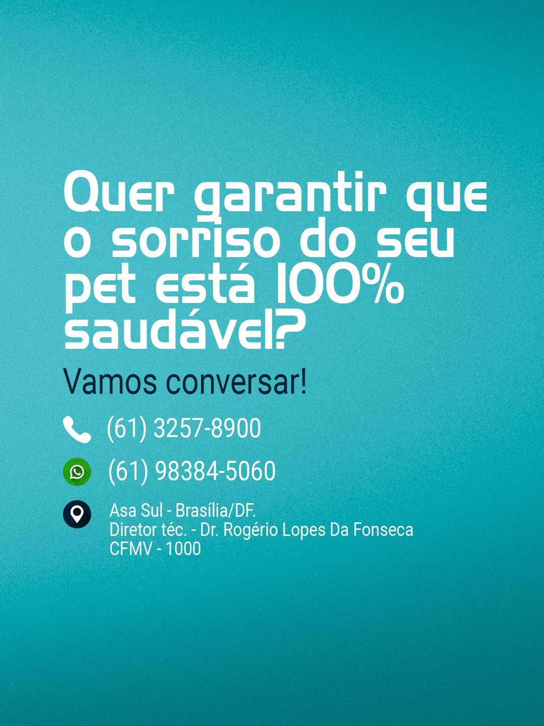 O que um inchaço na gengiva do seu pet pode esconder?