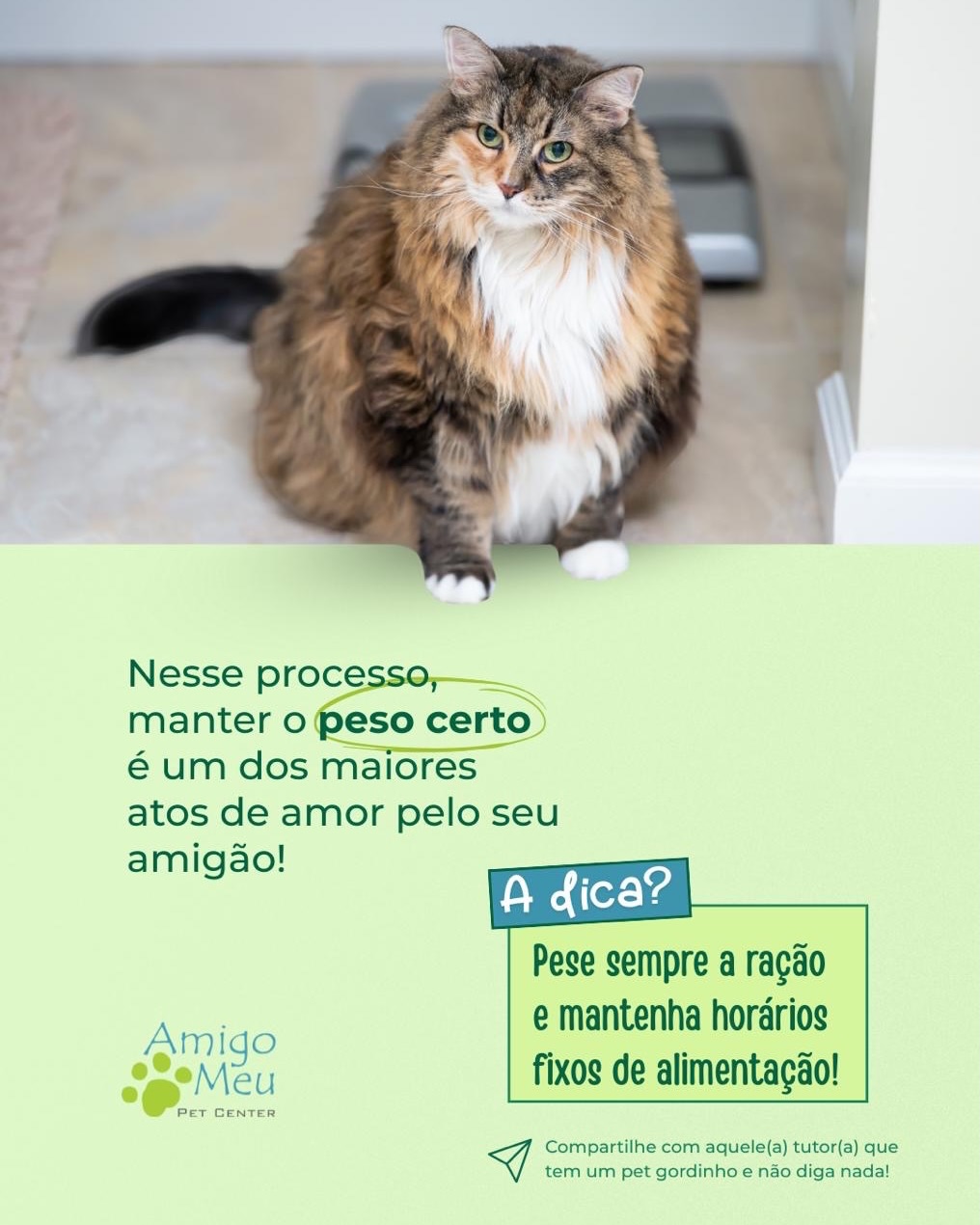 O seu pet se encaixa direitinho nessa imagem?