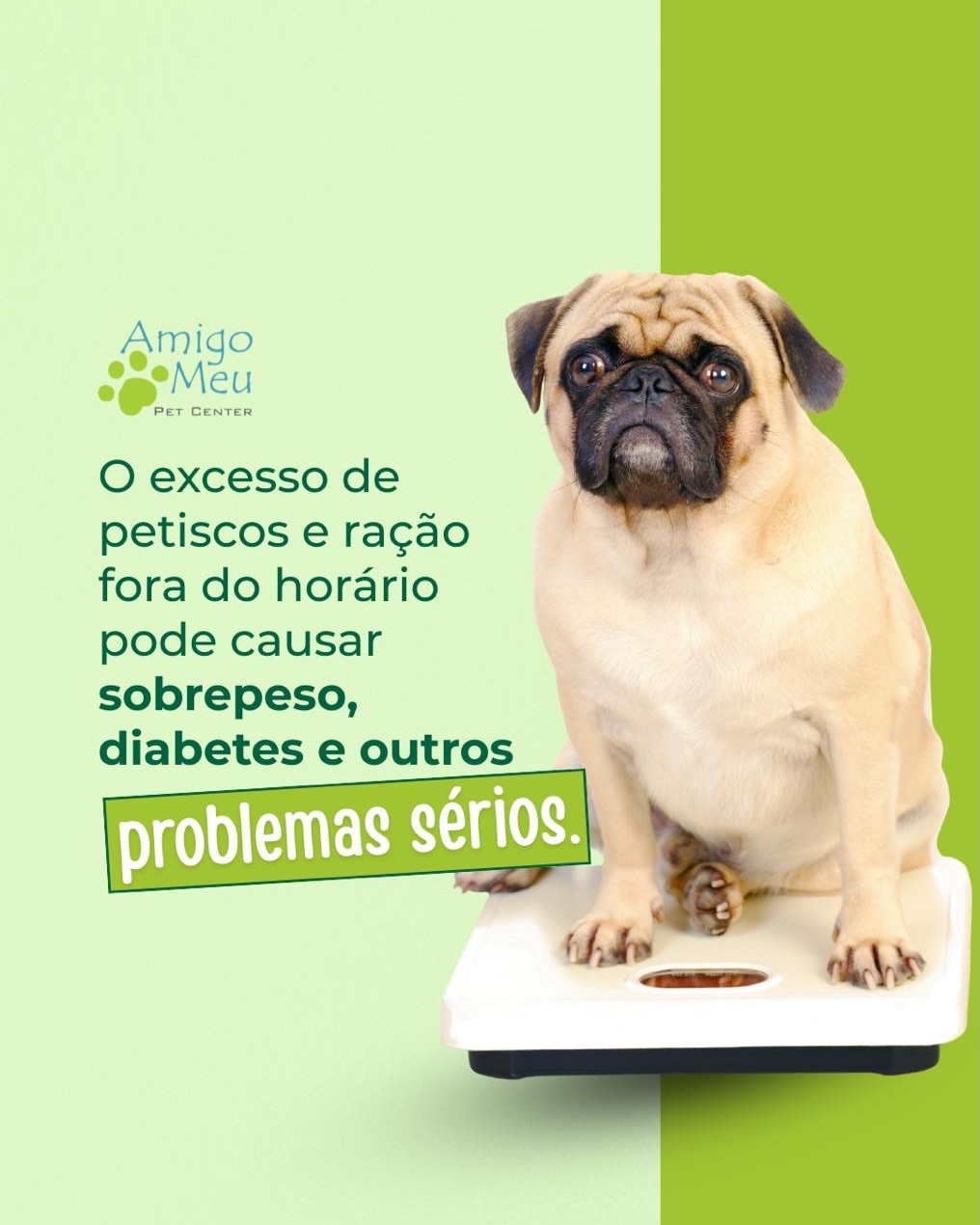 O seu pet se encaixa direitinho nessa imagem?