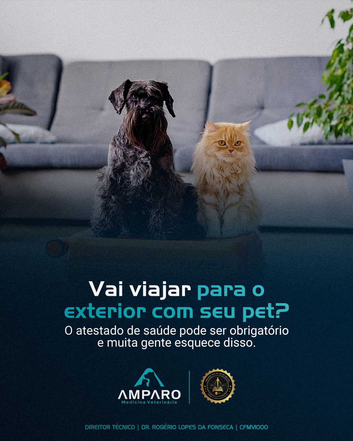 Vai viajar com seu pet para o exterior?
