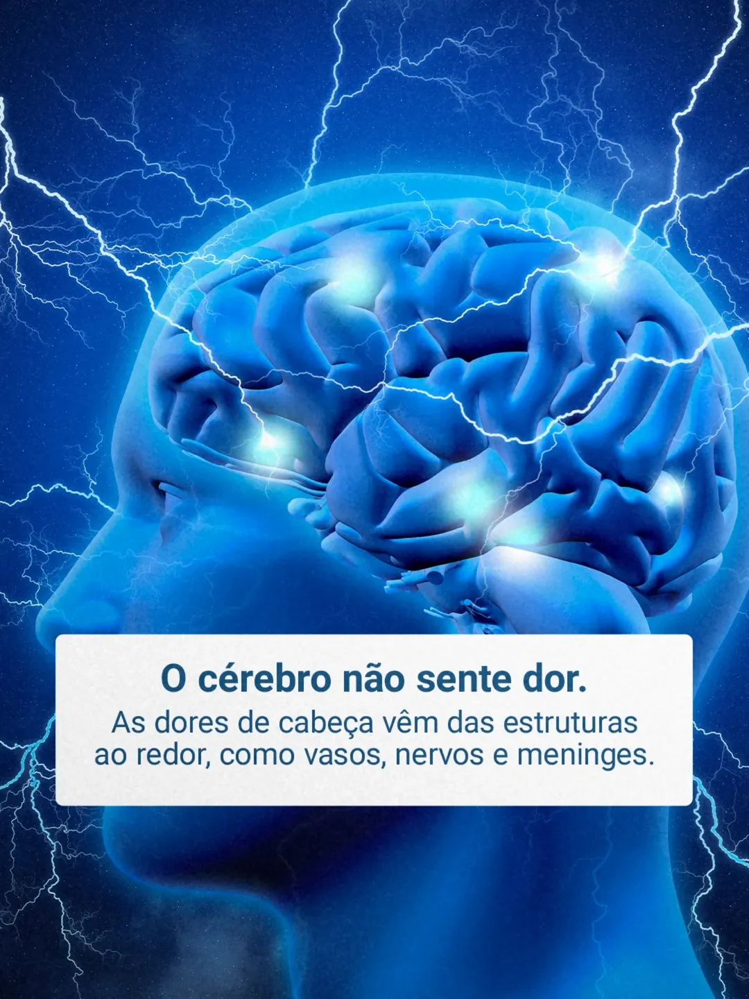 Algumas curiosidades do cérebro que quase ninguém conhece