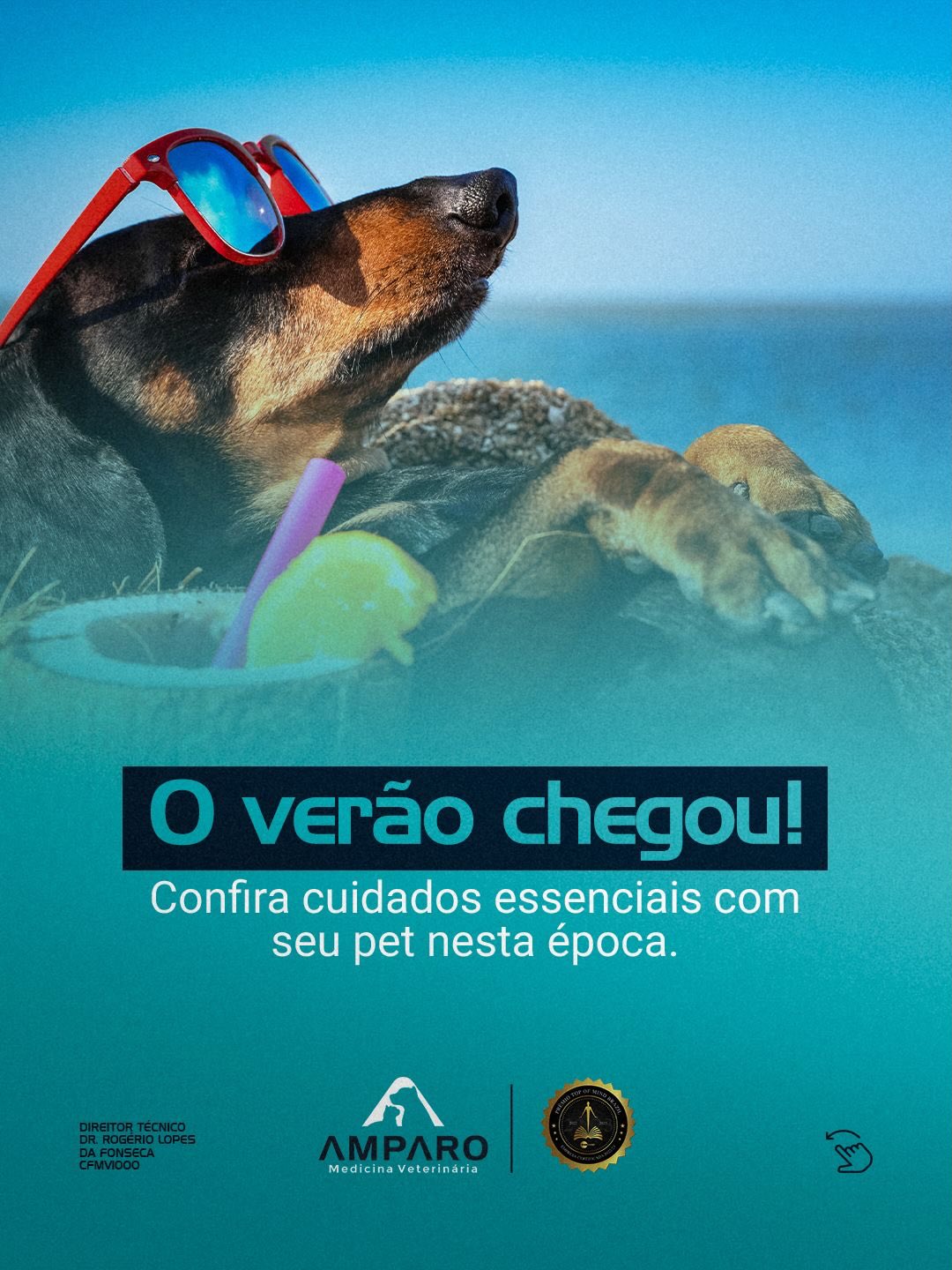 O verão chegou!