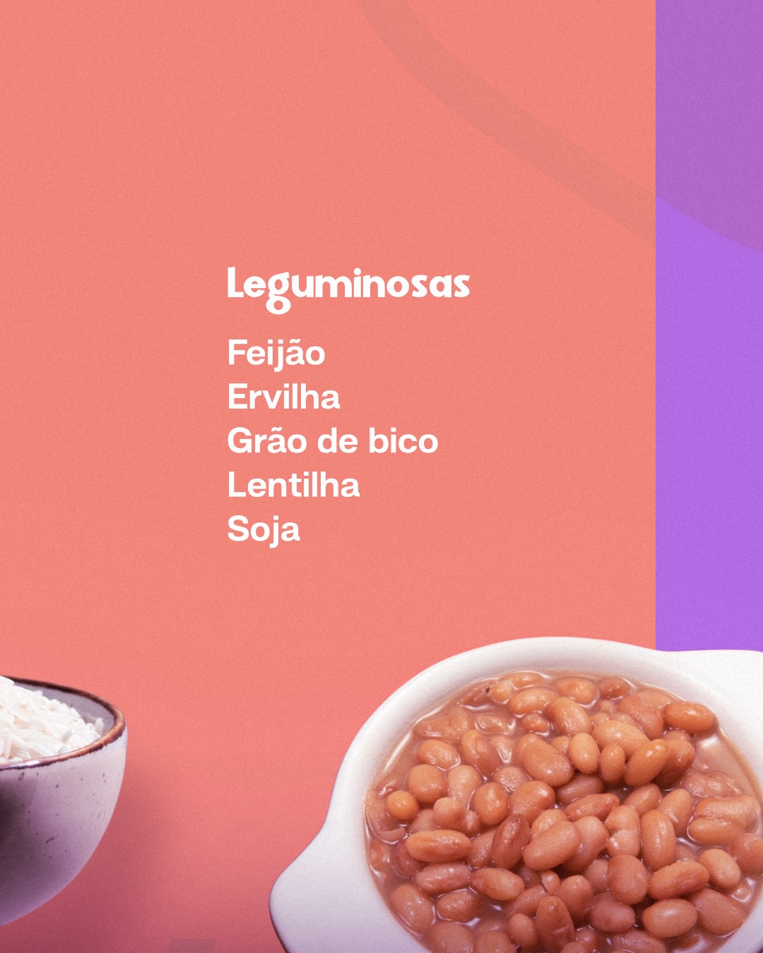 Esses são os 5 grupos alimentares.