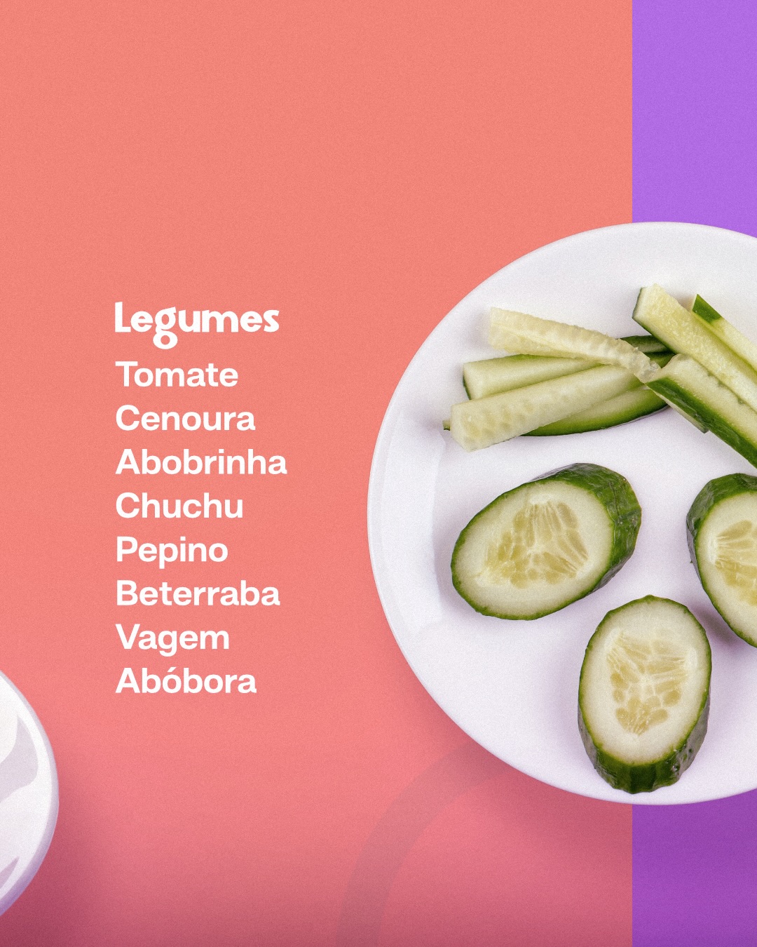 Esses são os 5 grupos alimentares.