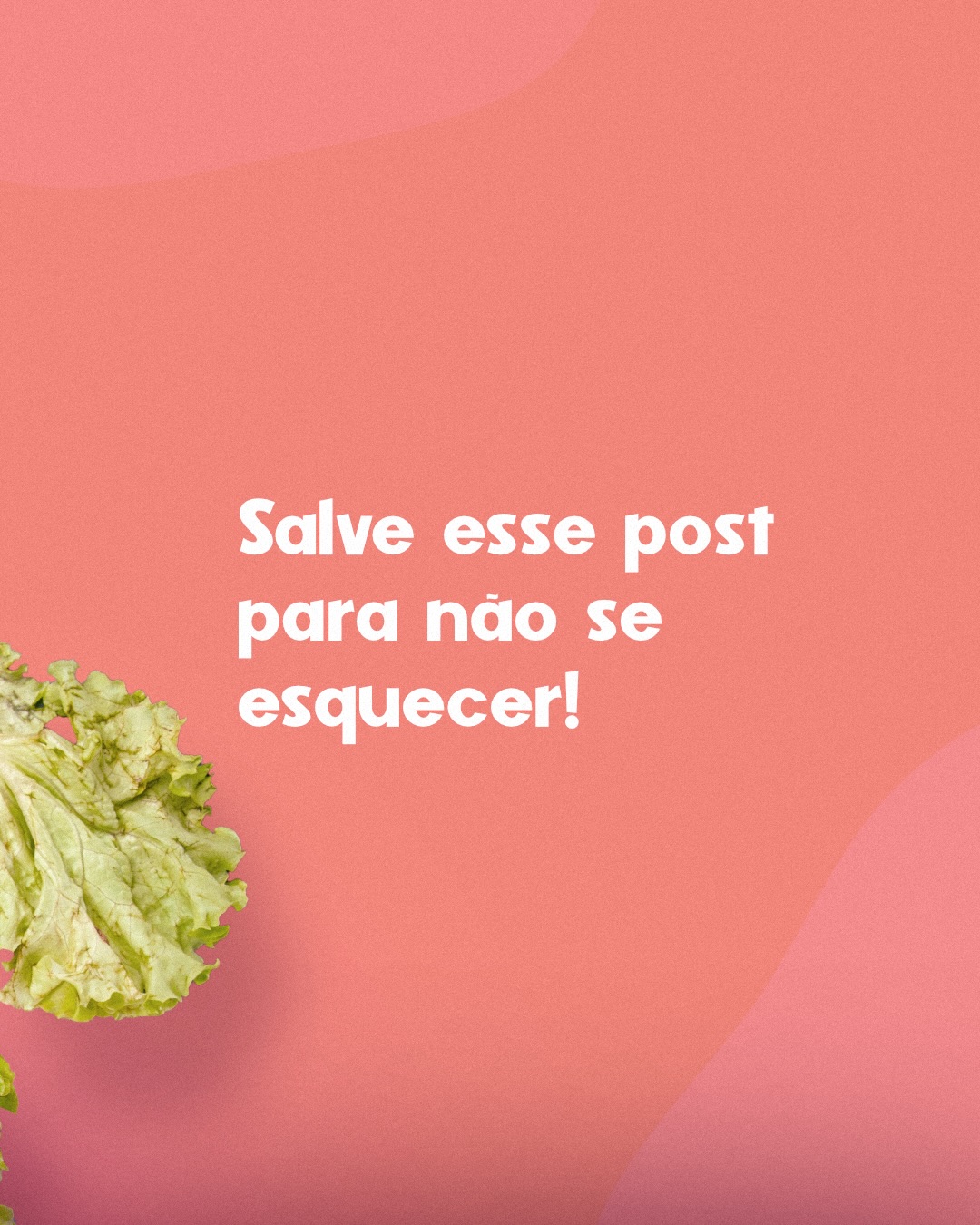 Esses são os 5 grupos alimentares.