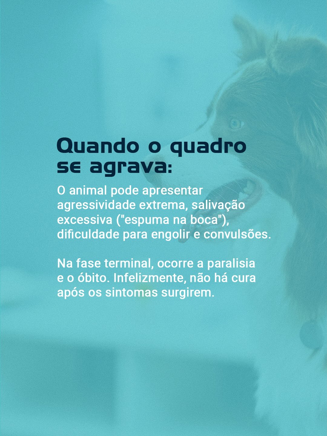 Chame nossa equipe agora mesmo e agende a vacinação.