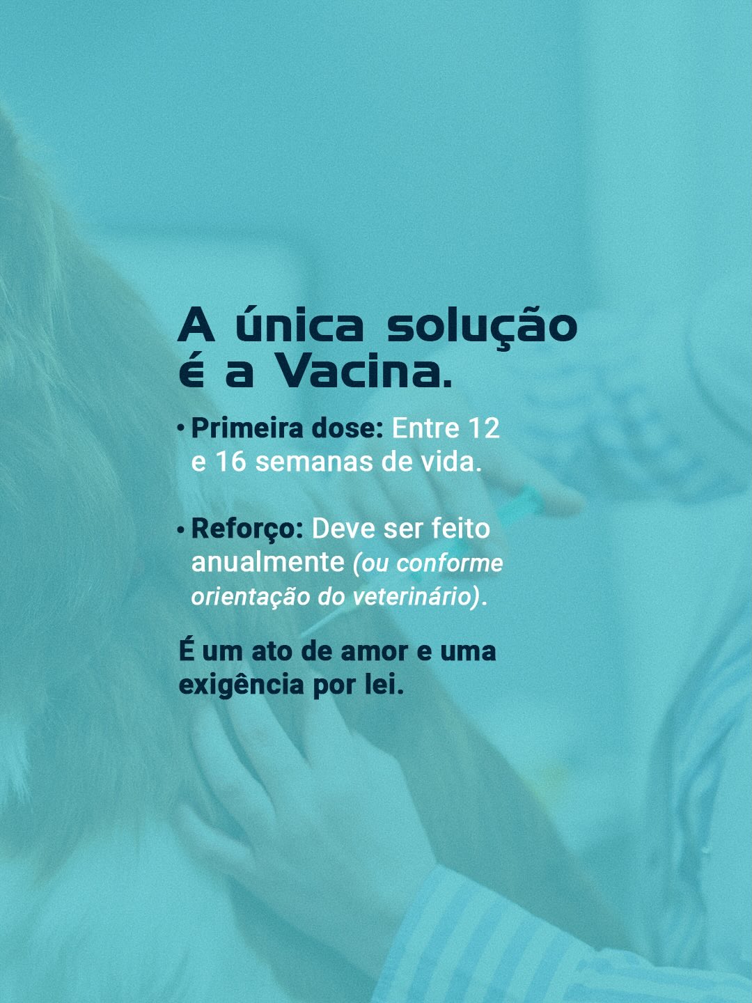Chame nossa equipe agora mesmo e agende a vacinação.