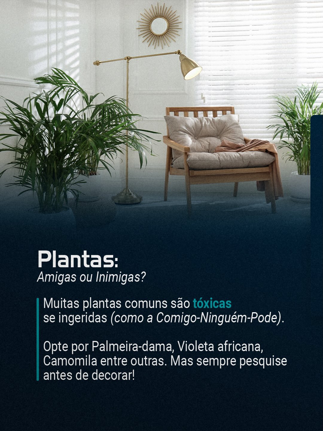 Estamos aqui para apoiar você e seu pet desde o primeiro dia!