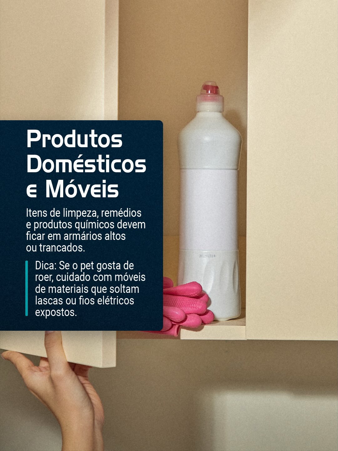 Estamos aqui para apoiar você e seu pet desde o primeiro dia!