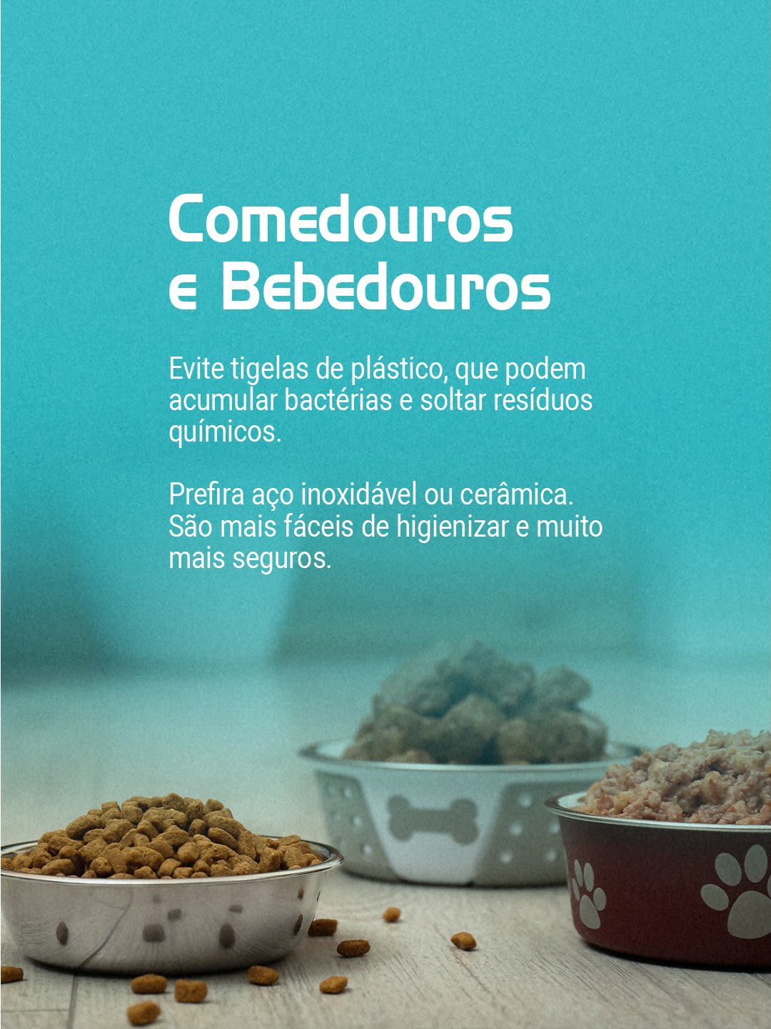 Estamos aqui para apoiar você e seu pet desde o primeiro dia!