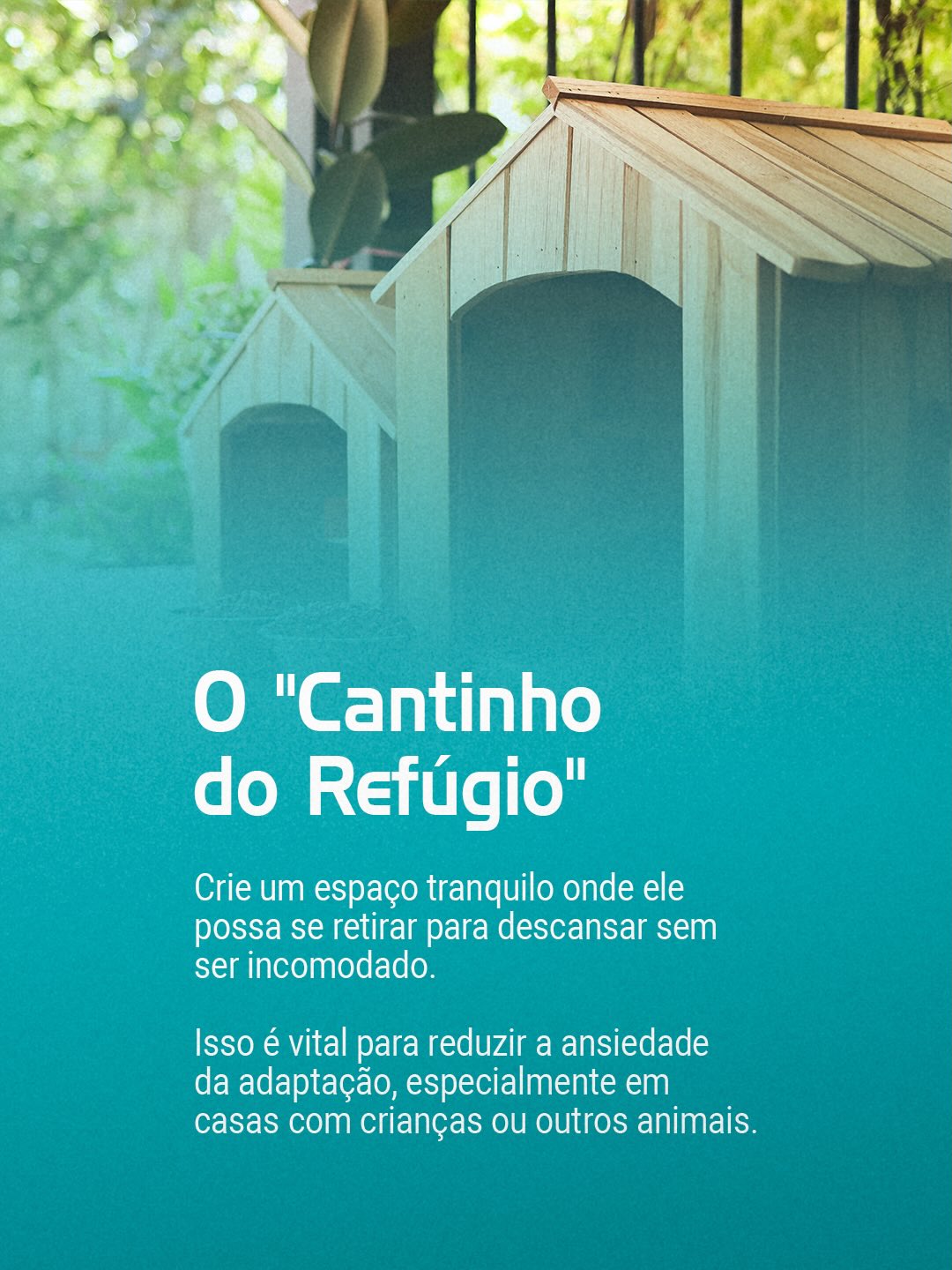 Estamos aqui para apoiar você e seu pet desde o primeiro dia!
