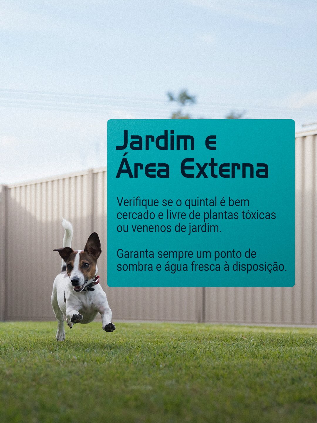 Estamos aqui para apoiar você e seu pet desde o primeiro dia!
