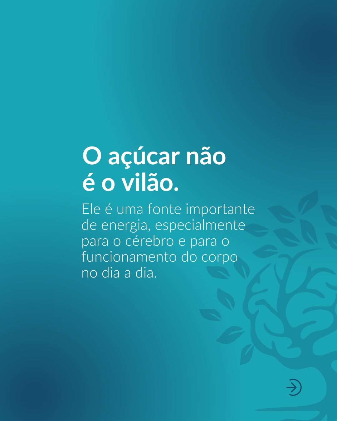 “Zero açúcar” parece sempre a melhor escolha. Mas será que é tão simples assim?