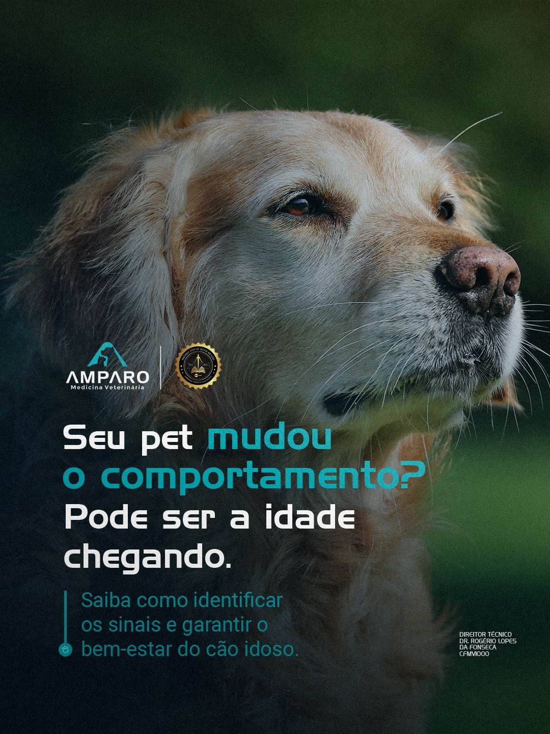 A velhice não deve ser encarada com medo, mas com um novo olhar de cuidado.