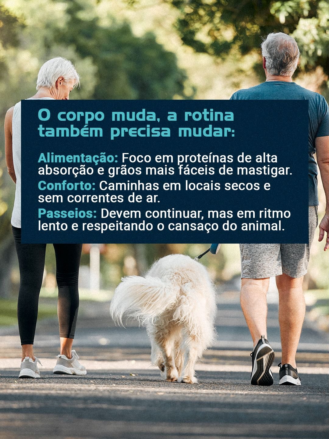 A velhice não deve ser encarada com medo, mas com um novo olhar de cuidado.