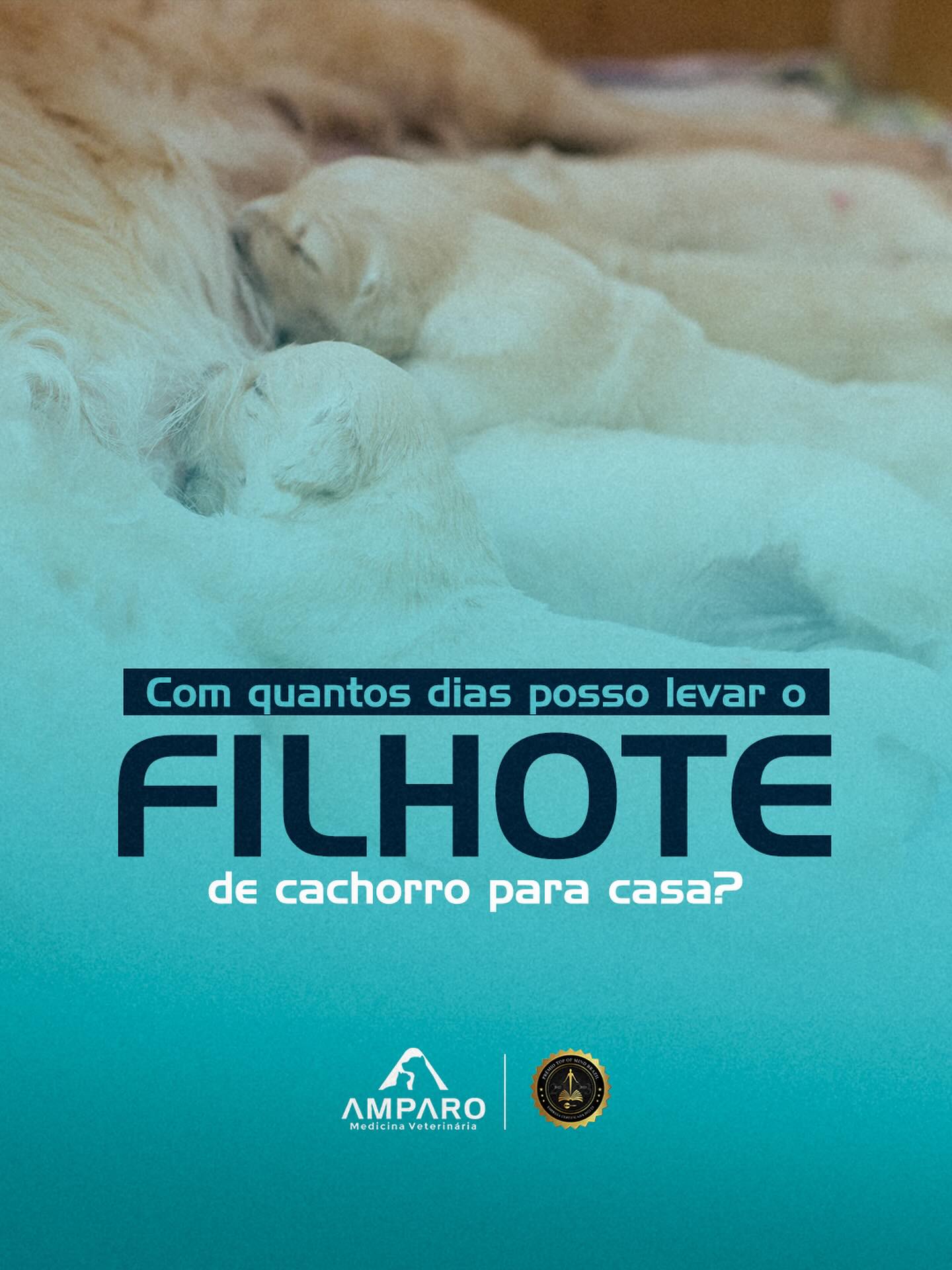 No Hospital Amparo, acompanhamos todas as fases do desenvolvimento.