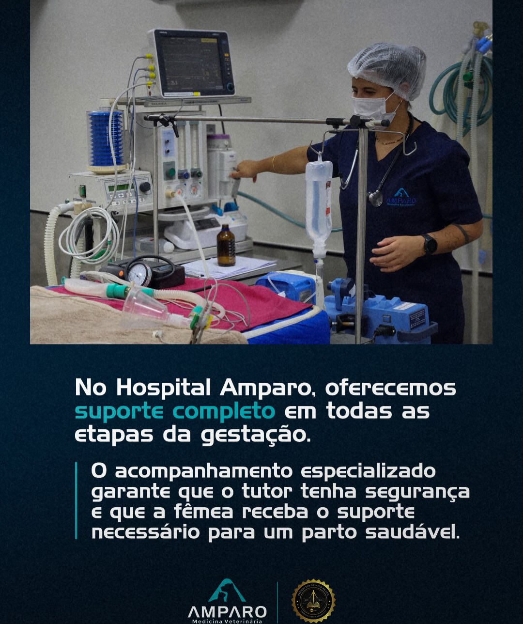 Pré-natal canino: Porque ele é negociável?