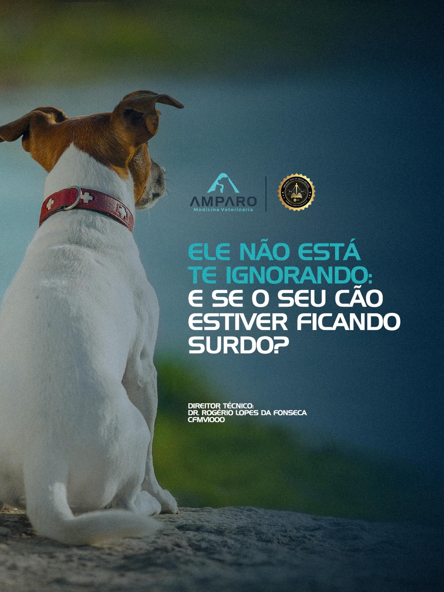 Como saber se o meu cão é surdo?