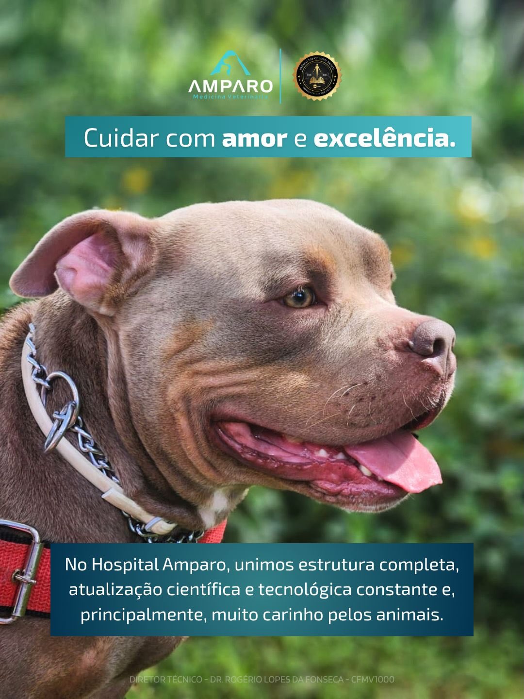 Somos Melhores do Ano!