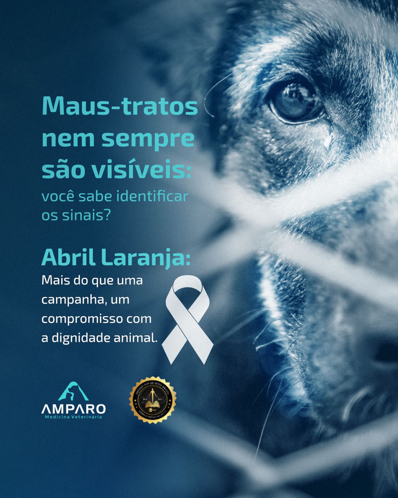 Amar é cuidar. E cuidar exige atitude.