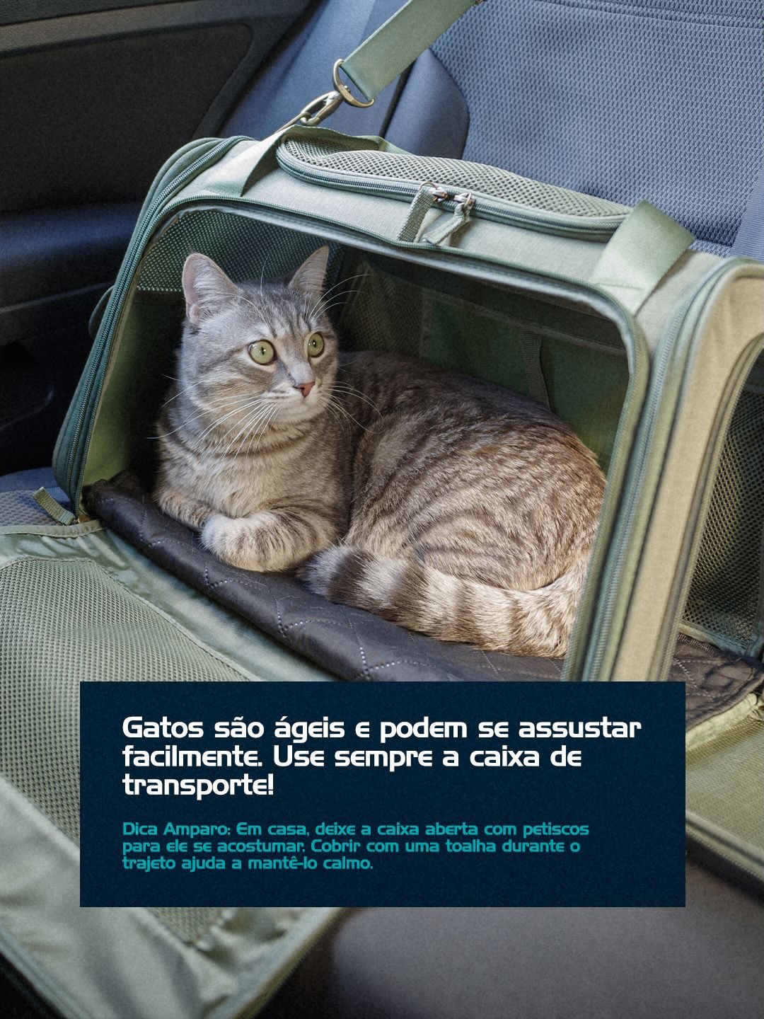  Hospital Amparo: cuidado completo em todos os momentos.