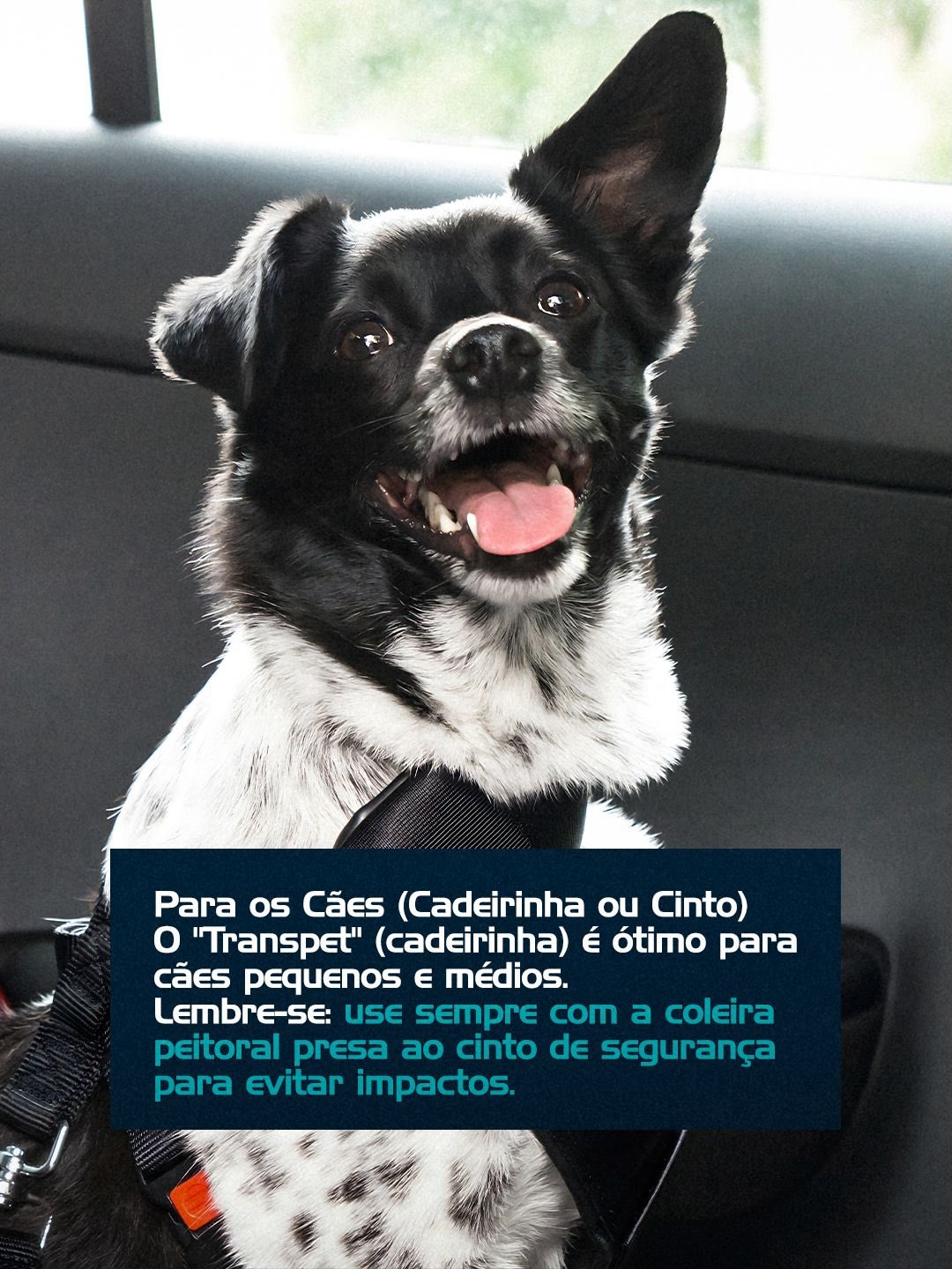  Hospital Amparo: cuidado completo em todos os momentos.