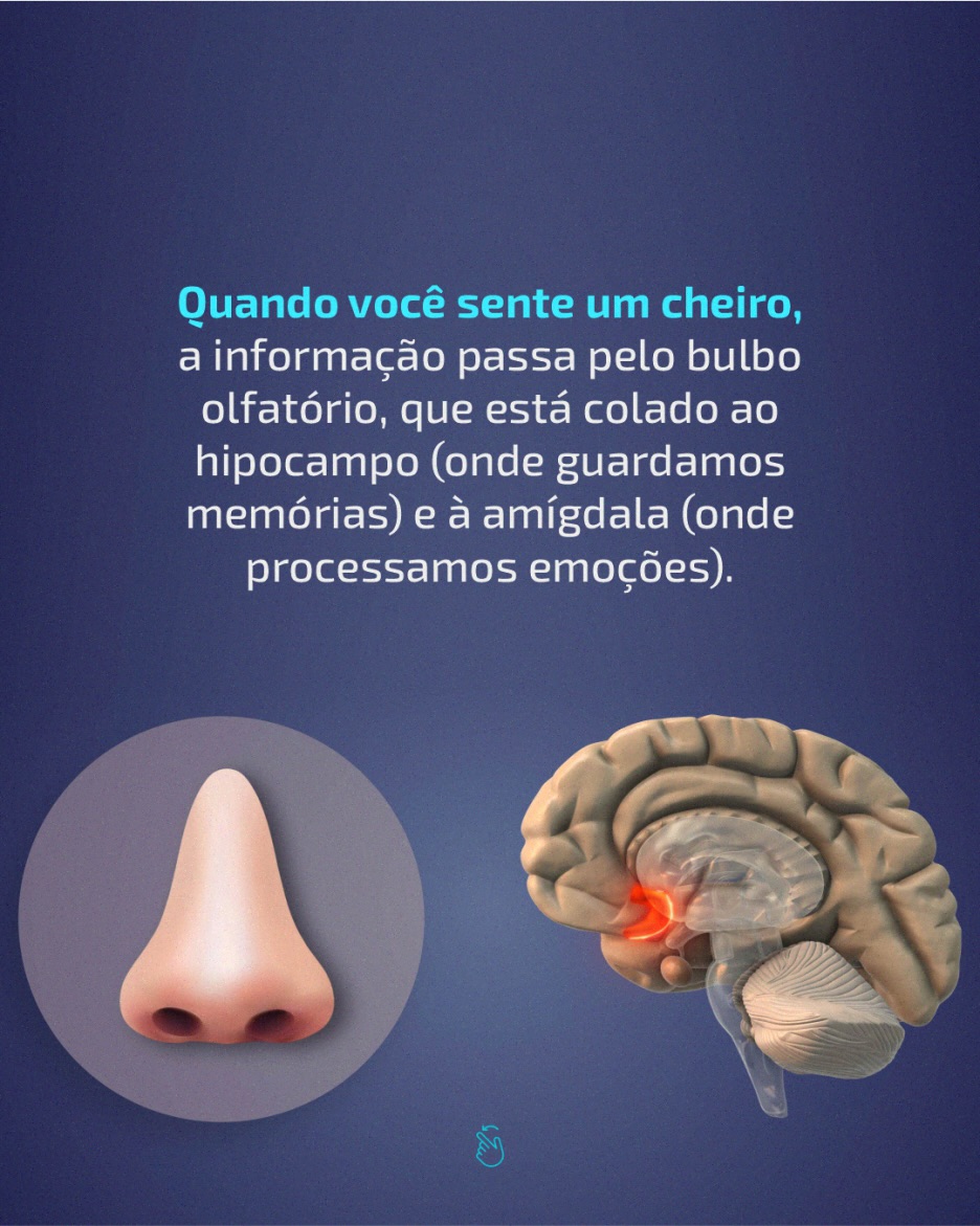 Você já teve uma memória despertada por um cheiro específico? Conta pra nós, nos comentários