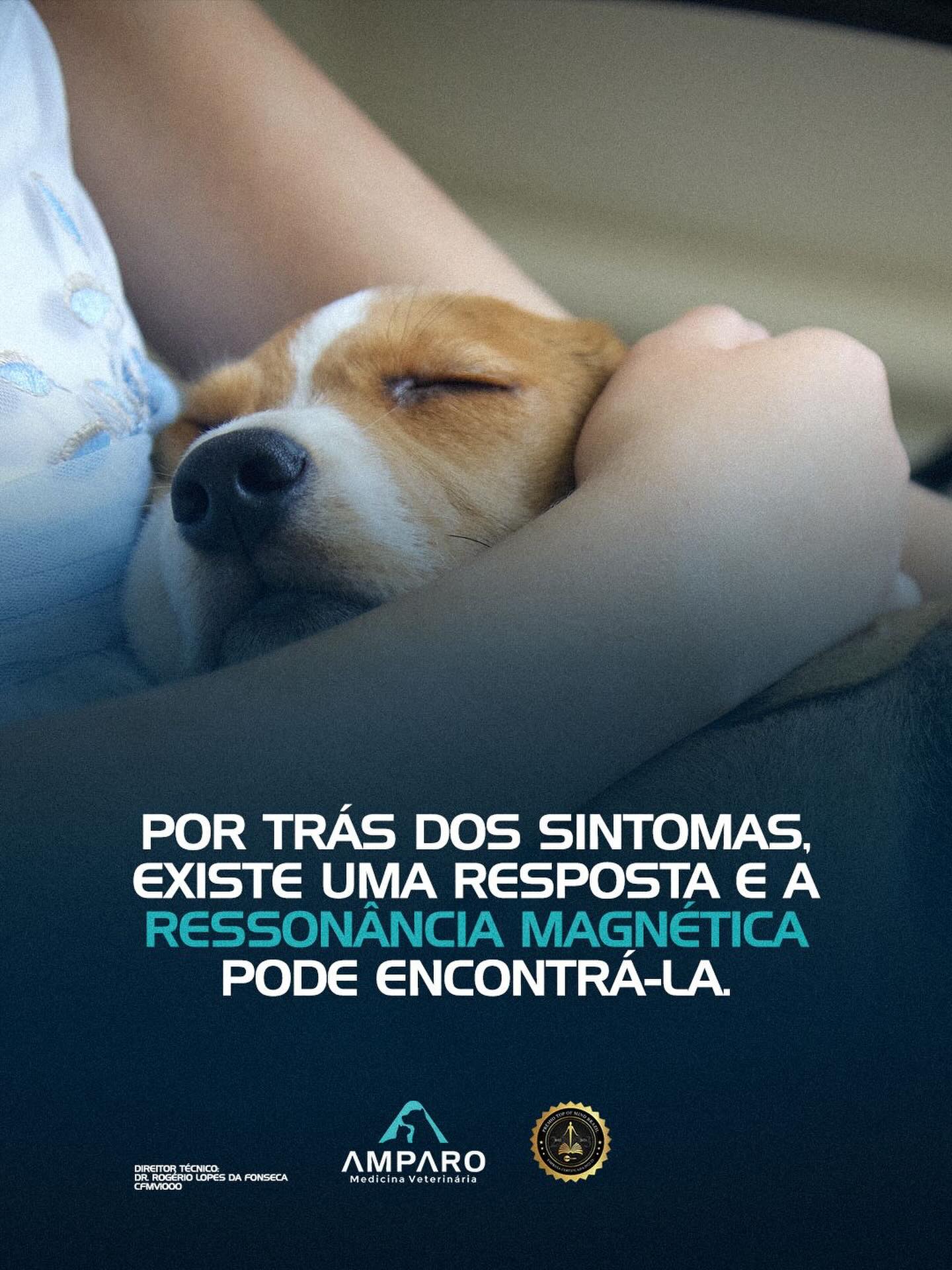Um diagnóstico preciso hoje é o primeiro passo para o tratamento correto e para devolver o bem-estar ao seu companheiro.