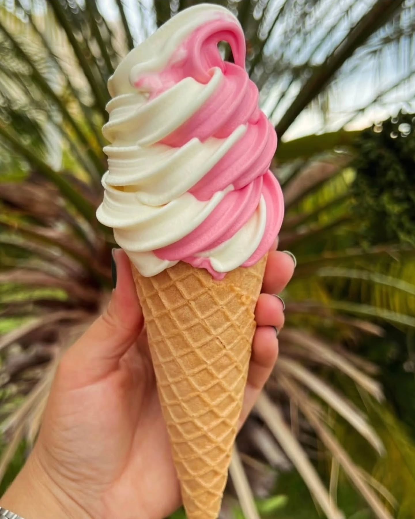Confira os sabores confirmados no Rolê em Movimento de MAIO!