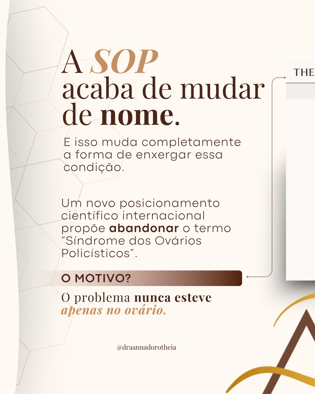 O cuidado feminino deve ser conduzido: com profundidade, estratégia e personalização.