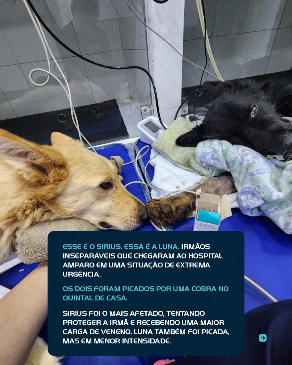 No Hospital Amparo, cada segundo faz diferença quando o assunto é salvar vidas.