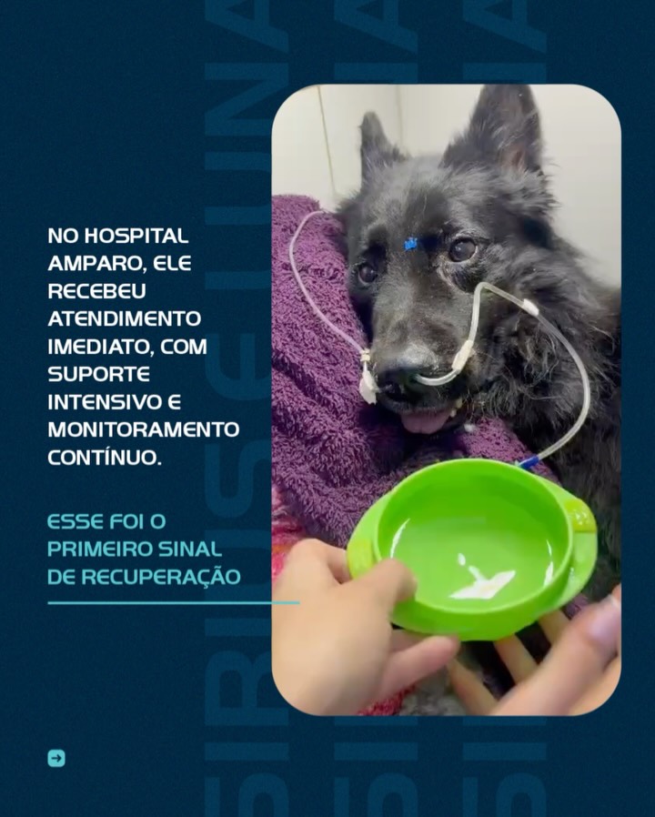 No Hospital Amparo, cada segundo faz diferença quando o assunto é salvar vidas.