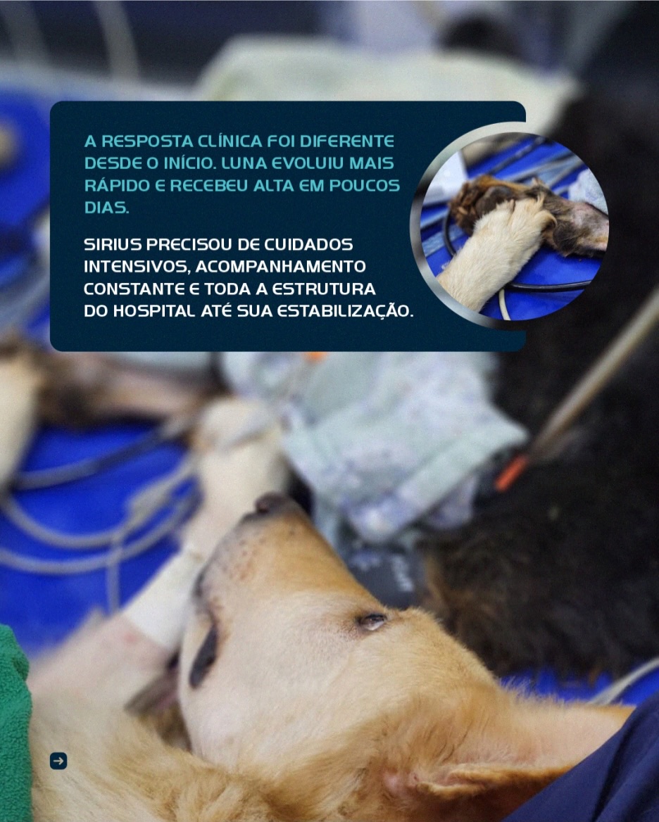No Hospital Amparo, cada segundo faz diferença quando o assunto é salvar vidas.