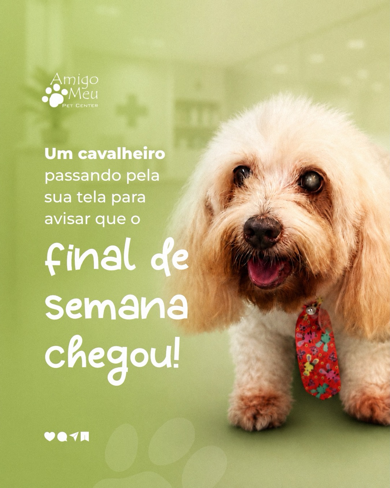 Não dá para resistir a tanta elegância e fofura em um post só!