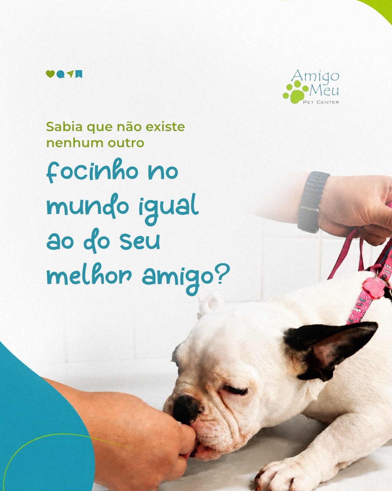 Sabia que não existe nenhum outro  focinho no mundo igual ao do seu melhor amigo?
