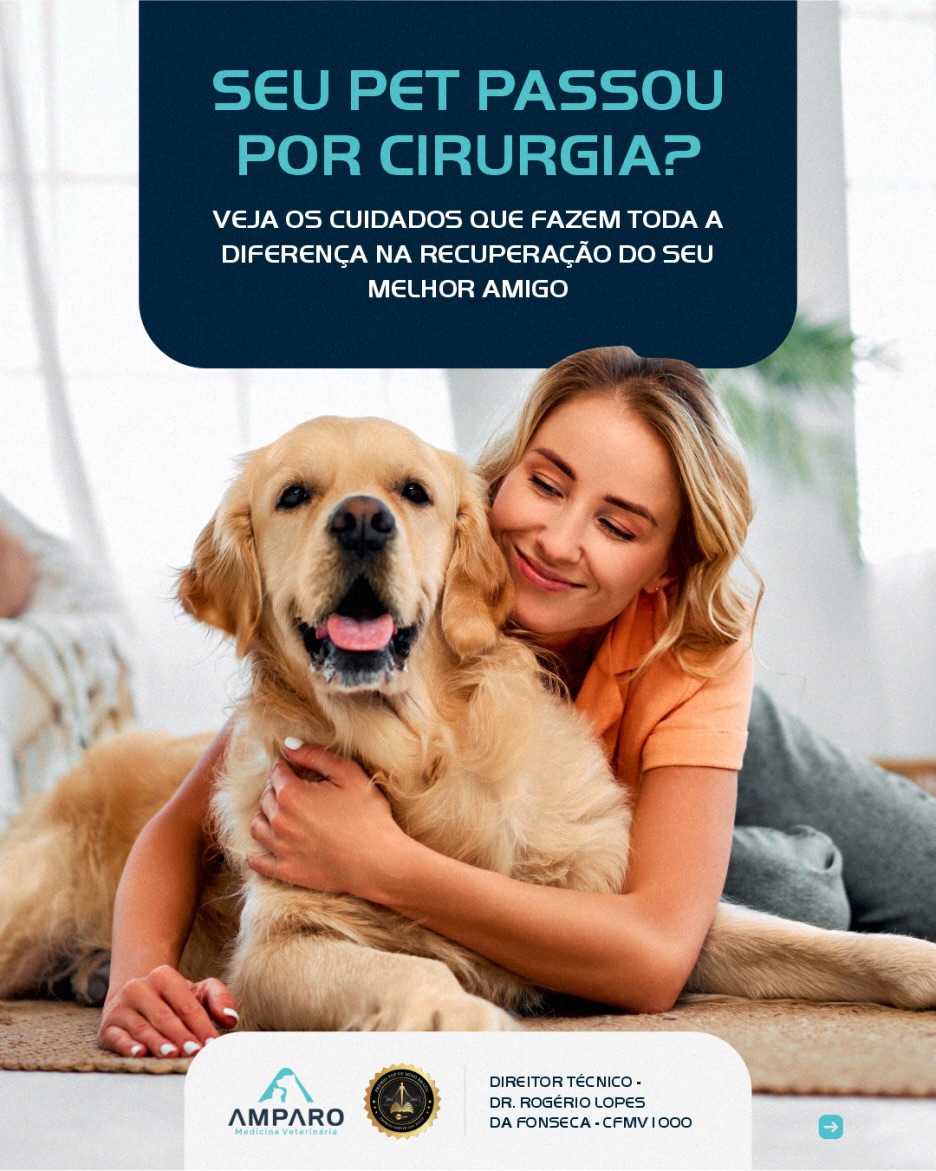  A recuperação do seu pet continua em casa, e é nesse momento que a atenção aos detalhes faz toda a diferença no resultado.