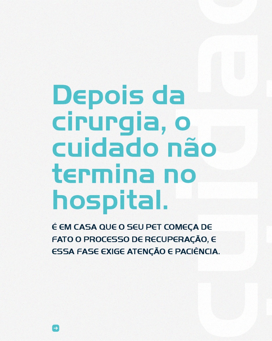  A recuperação do seu pet continua em casa, e é nesse momento que a atenção aos detalhes faz toda a diferença no resultado.